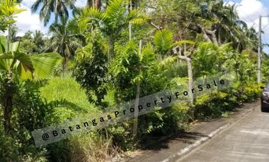 750 sqm, Lot For Sale Tierra Maria Estate, Lipa City