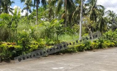 750 sqm, Lot For Sale Tierra Maria Estate, Lipa City