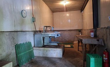 FOR SALE POULTRY FARM ( BREEDER )
