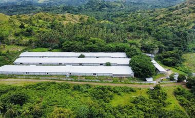 FOR SALE POULTRY FARM ( BREEDER )