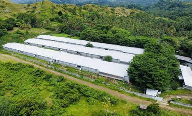 FOR SALE POULTRY FARM ( BREEDER )