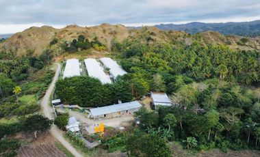 FOR SALE POULTRY FARM ( BREEDER )
