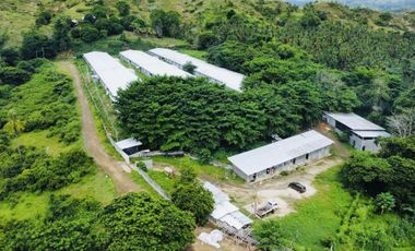 FOR SALE POULTRY FARM ( BREEDER )