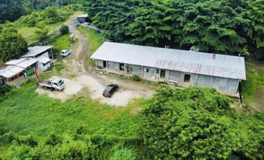 FOR SALE POULTRY FARM ( BREEDER )