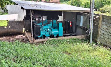 FOR SALE POULTRY FARM ( BREEDER )