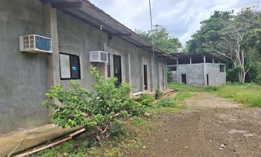 FOR SALE POULTRY FARM ( BREEDER )