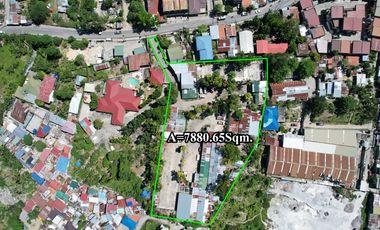 7,882 sqm Lot Overlooking Gem for sale in Pagsabungan, Mandaue City