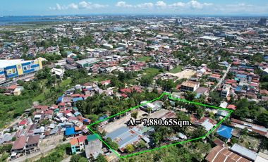 7,882 sqm Lot Overlooking Gem for sale in Pagsabungan, Mandaue City
