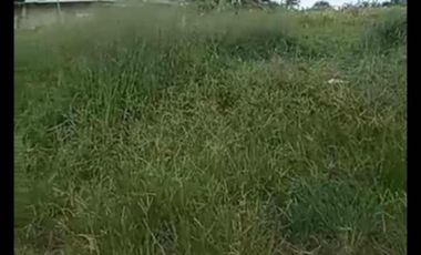 LOT ONLY for Sale (San Pedro, Laguna)