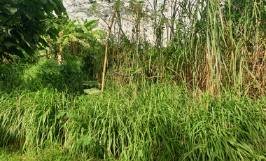 240 sqm Residential Lot for Sale in Rosario Heights Subdivision, Bacolod City