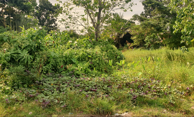 240 sqm Residential Lot for Sale in Rosario Heights Subdivision, Bacolod City