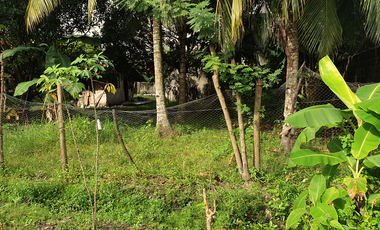 240 sqm Residential Lot for Sale in Rosario Heights Subdivision, Bacolod City