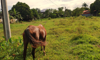 240 sqm Residential Lot for Sale in Rosario Heights Subdivision, Bacolod City