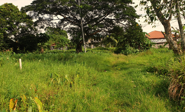 240 sqm Residential Lot for Sale in Rosario Heights Subdivision, Bacolod City