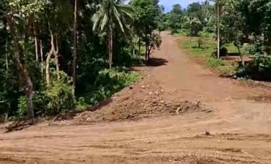 INVESTMENT PROPERTY IN MABITAC LAGUNA