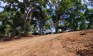 INVESTMENT PROPERTY IN MABITAC LAGUNA