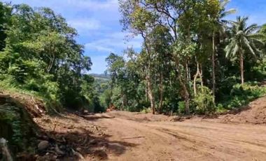 INVESTMENT PROPERTY IN MABITAC LAGUNA