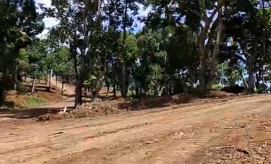 INVESTMENT PROPERTY IN MABITAC LAGUNA