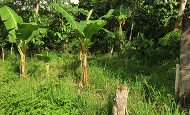 180 sqm Residential Lot for Sale in Rosario Heights, Bacolod City