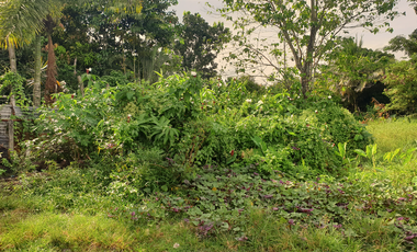 180 sqm Residential Lot for Sale in Rosario Heights, Bacolod City