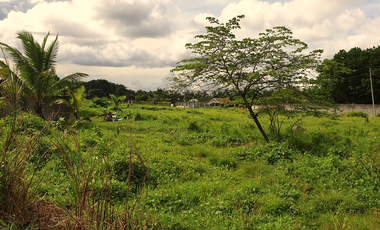 180 sqm Residential Lot for Sale in Rosario Heights, Bacolod City