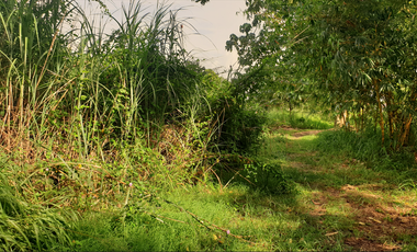 180 sqm Residential Lot for Sale in Rosario Heights, Bacolod City