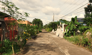 180 sqm Residential Lot for Sale in Rosario Heights, Bacolod City