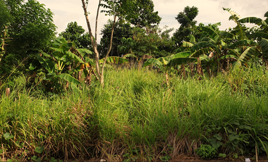 180 sqm Residential Lot for Sale in Rosario Heights, Bacolod City