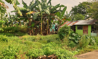 180 sqm Residential Lot for Sale in Rosario Heights, Bacolod City
