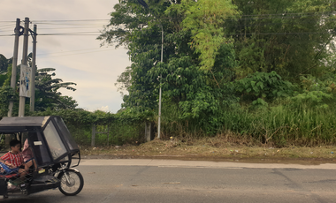 1.8 Hectares Commercial Lot for Sale in Bacolod City, Negros Occidental