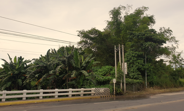 1.8 Hectares Commercial Lot for Sale in Bacolod City, Negros Occidental