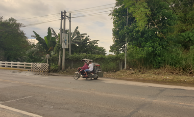 1.8 Hectares Commercial Lot for Sale in Bacolod City, Negros Occidental