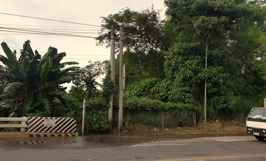 1.8 Hectares Commercial Lot for Sale in Bacolod City, Negros Occidental