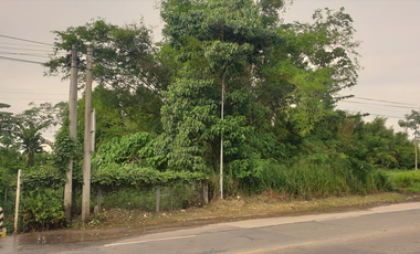 1.8 Hectares Commercial Lot for Sale in Bacolod City, Negros Occidental
