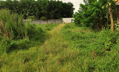 269 sqm Residential Lot for Sale in Rosario Heights, Bacolod, Negros Occidental