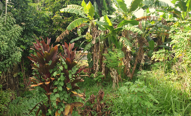 269 sqm Residential Lot for Sale in Rosario Heights, Bacolod, Negros Occidental