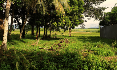269 sqm Residential Lot for Sale in Rosario Heights, Bacolod, Negros Occidental