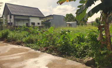 269 sqm Residential Lot for Sale in Rosario Heights, Bacolod, Negros Occidental