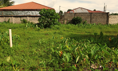239 sqm Residential Lot for Sale in Rosario Heights, Bacolod, Negros Occidental