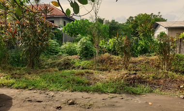 239 sqm Residential Lot for Sale in Rosario Heights, Bacolod, Negros Occidental