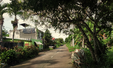 239 sqm Residential Lot for Sale in Rosario Heights, Bacolod, Negros Occidental