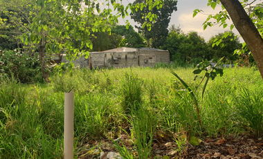 239 sqm Residential Lot for Sale in Rosario Heights, Bacolod, Negros Occidental