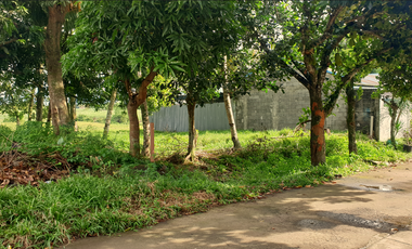 239 sqm Residential Lot for Sale in Rosario Heights, Bacolod, Negros Occidental