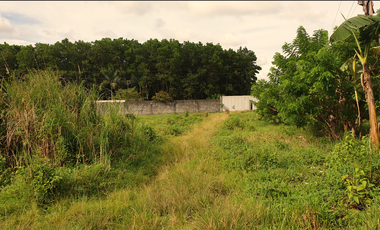 239 sqm Residential Lot for Sale in Rosario Heights, Bacolod, Negros Occidental