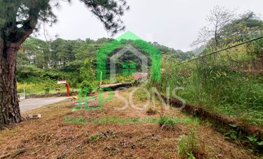 3-Hectare Lot Gem for sale in Baguio City – Now Available!