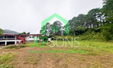 3-Hectare Lot Gem for sale in Baguio City – Now Available!