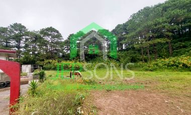 3-Hectare Lot Gem for sale in Baguio City – Now Available!
