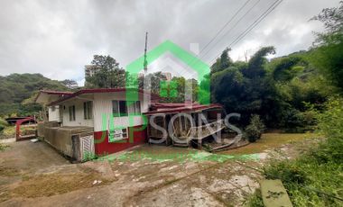 3-Hectare Lot Gem for sale in Baguio City – Now Available!