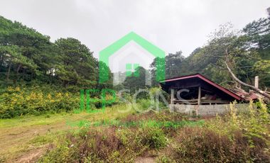 3-Hectare Lot Gem for sale in Baguio City – Now Available!