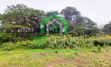 3-Hectare Lot Gem for sale in Baguio City – Now Available!